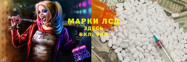 ПСИЛОЦИБИНОВЫЕ ГРИБЫ Абаза