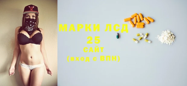 ПСИЛОЦИБИНОВЫЕ ГРИБЫ Абаза