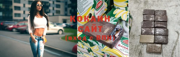 твердый Новозыбков